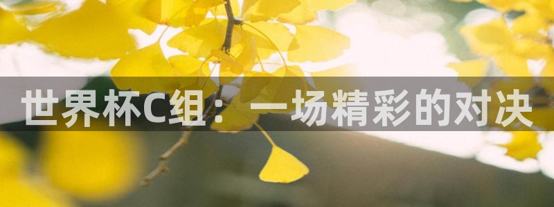 世界杯赛程时间表：世界杯C组：一场精彩的对决