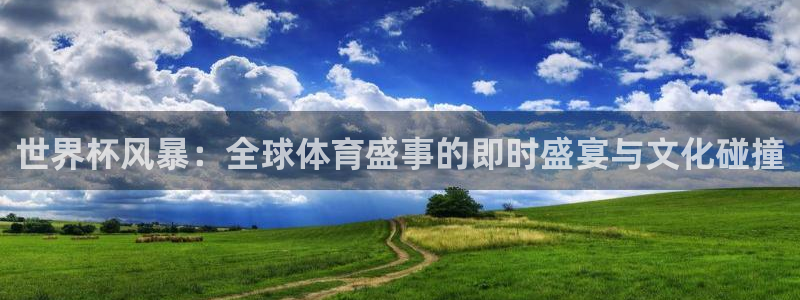 2026世界杯对阵图：世界杯风暴：全球体育盛事的即时盛宴与文化碰撞