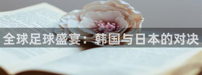 国际足联世界杯：全球足球盛宴：韩国与日本的对决