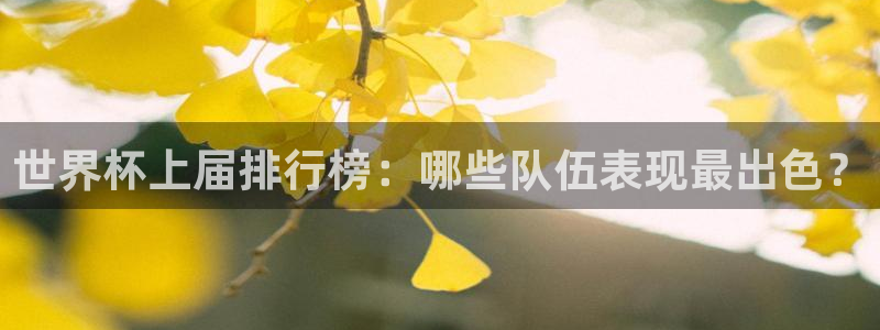 世界杯转播表：世界杯上届排行榜：哪些队伍表现最出色？