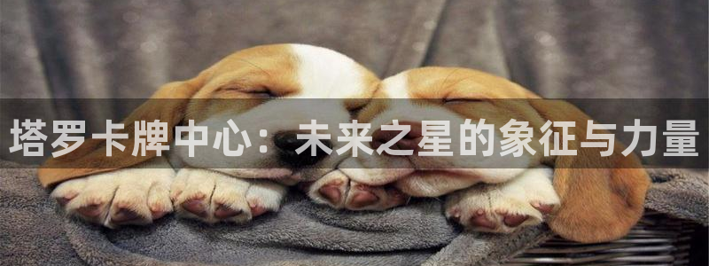 世界杯今年：塔罗卡牌中心：未来之星的象征与力量