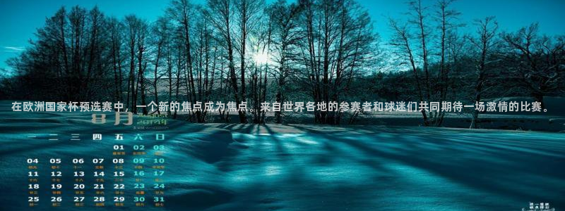 2026年世界杯直播平台：在欧洲国家杯预选赛中，一个新的焦点成为焦点。来自世界各地的参赛者和球迷们共同期待一场激情的比赛。