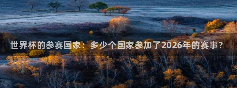 世界杯葡萄牙赛程：世界杯的参赛国家：多少个国家参加了2026年的赛事？