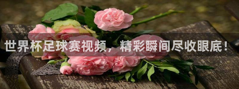 世界杯对阵表：世界杯足球赛视频，精彩瞬间尽收眼底！