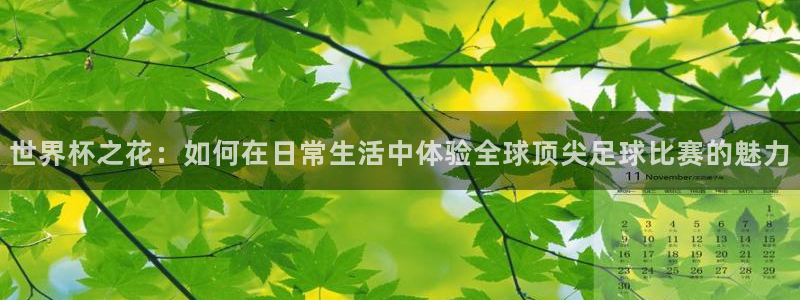 女足世界杯直播在线观看免费高清：世界杯之花：如何在日常生活中体验全球顶尖足球比赛的魅力