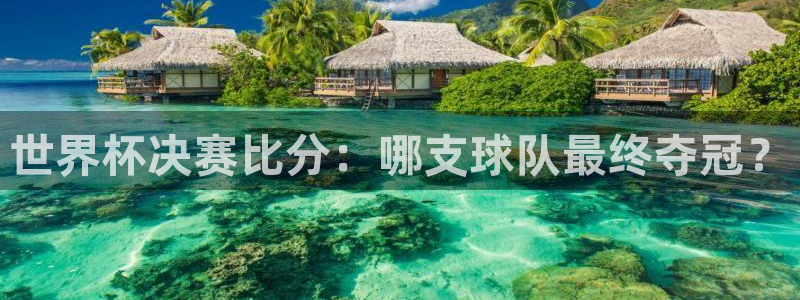 2026世界杯预选赛：世界杯决赛比分：哪支球队最终夺冠？