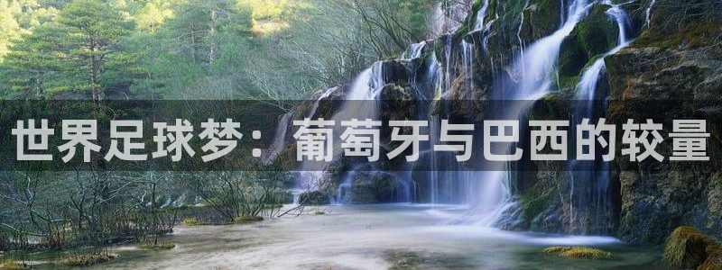 世界杯小组赛赛程：世界足球梦：葡萄牙与巴西的较量
