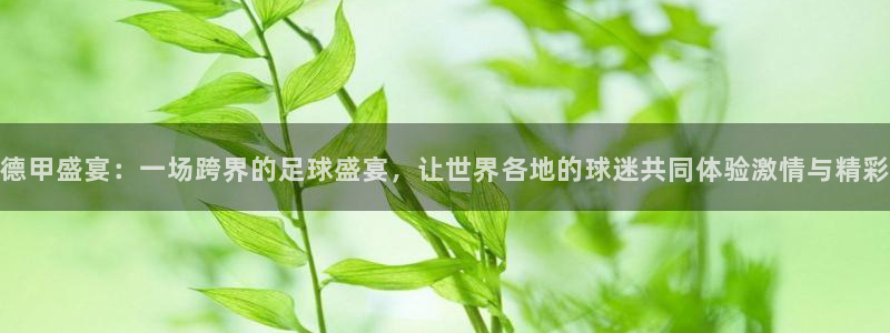 国际足联世界杯：德甲盛宴：一场跨界的足球盛宴，让世界各地的球迷共同体验激情与精彩