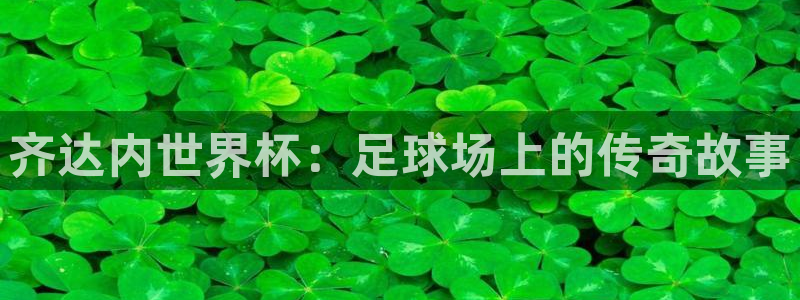 世界杯今年：齐达内世界杯：足球场上的传奇故事
