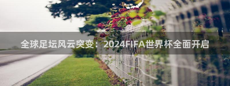 世界杯预选赛亚洲区积分榜：全球足坛风云突变：2024FIFA世界杯全面开启